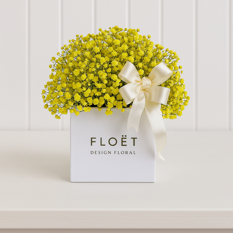 Flowerbox  Mosquitinho (mais cores disponível)