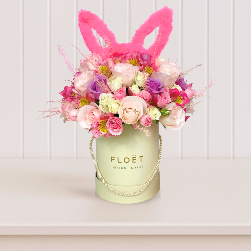  Flowerbox Renascer 