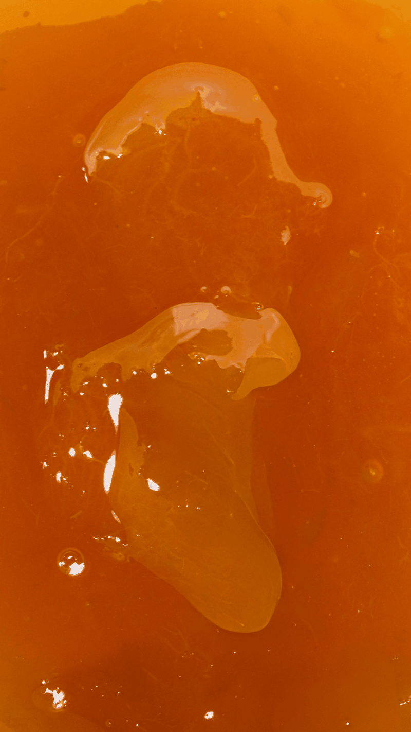 Geleia de Damasco Artesanal Libanesa