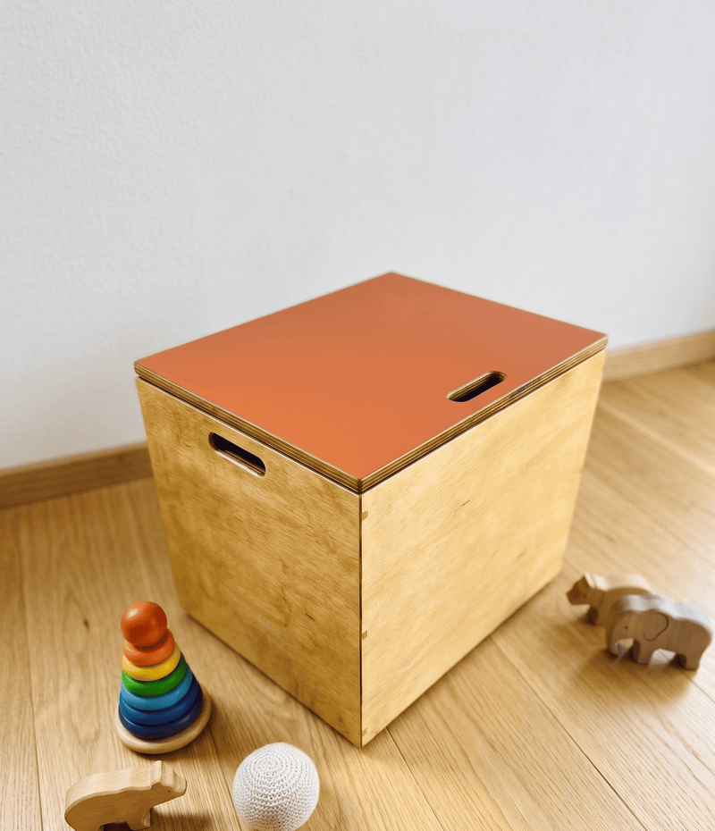 Baú de Brinquedos