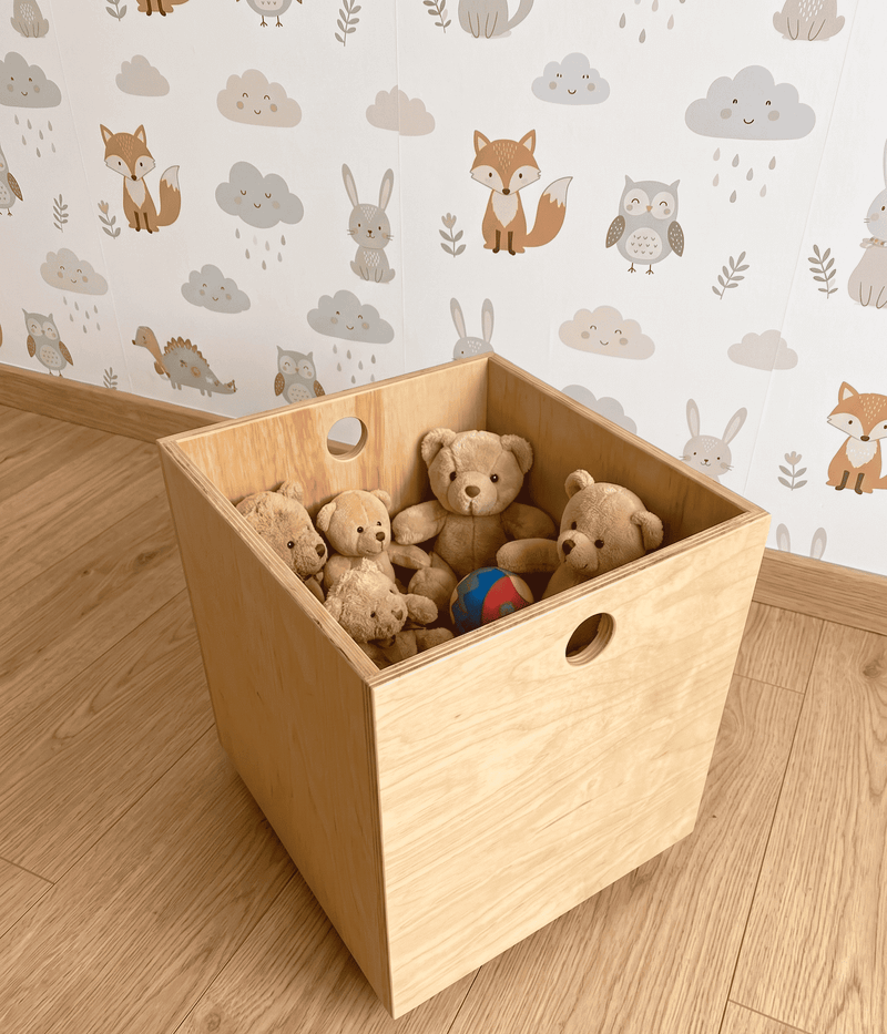 Caixa Organizadora Toy Box