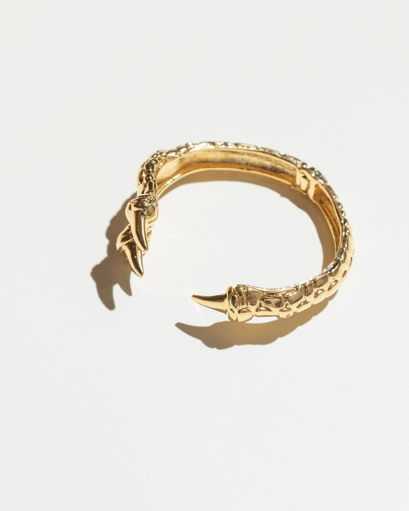 Bracelete Arara Dourado