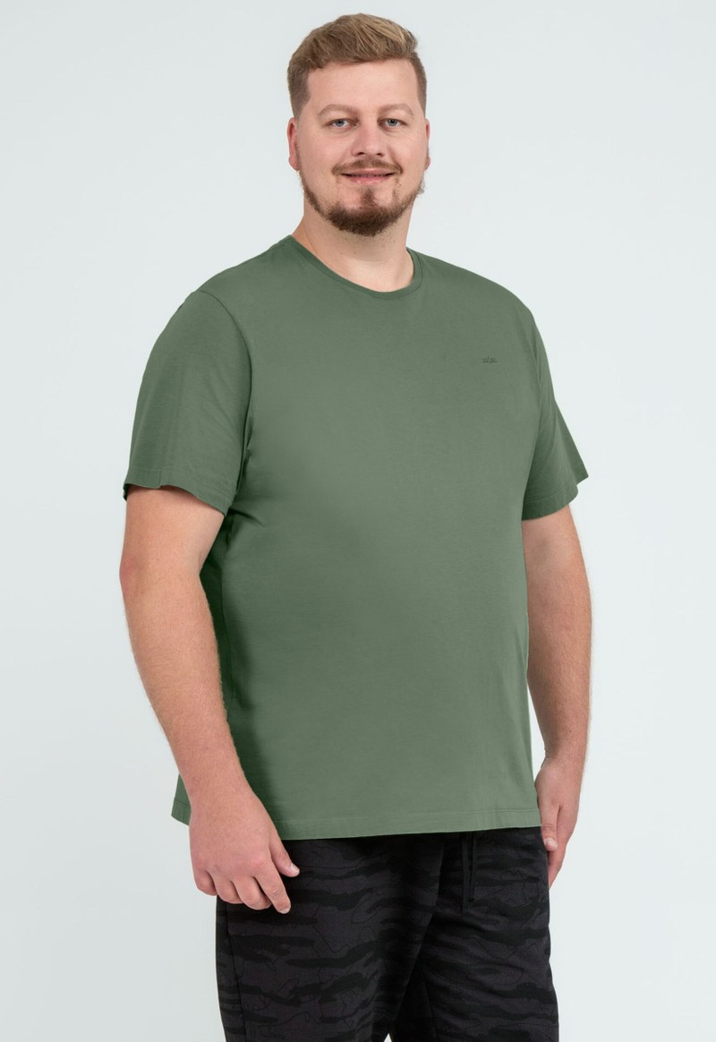 Camiseta masculina básica manga curta plus size Hangar 33 | Verde Asp.