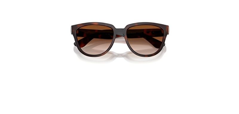 Óculos de Sol Ray Ban RB4463