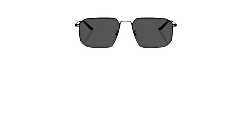 Óculos de Sol Emporio Armani EA2165D