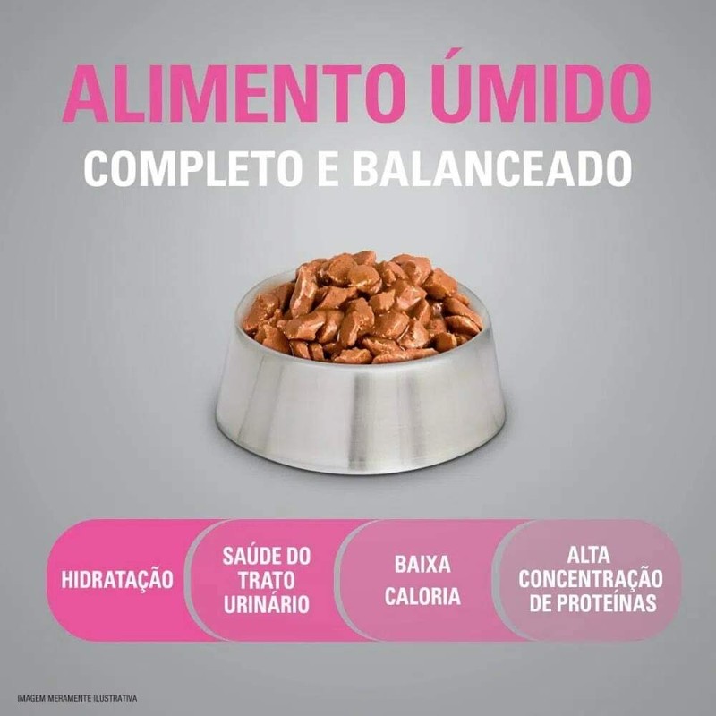 Alimento Úmido Sachê Optimum Gatos Filhotes Frango 85g