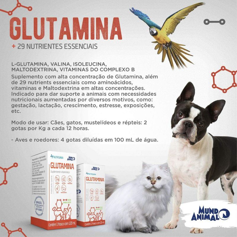 Glutamina Nutrisana Suplemento Alimentar Mundo Animal 20ml