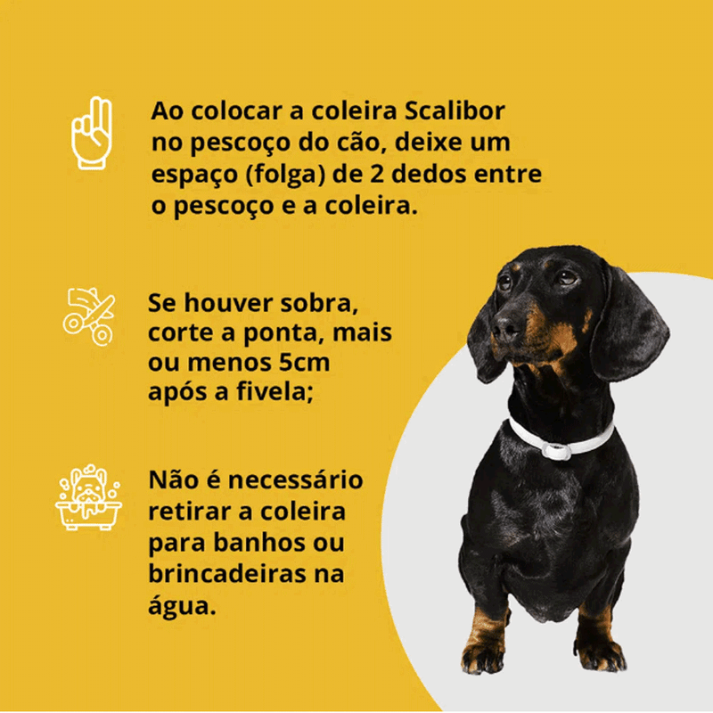 Coleira  Antiparasitas Scalibor Para Cães Pequenos e Médios MSD -  48cm