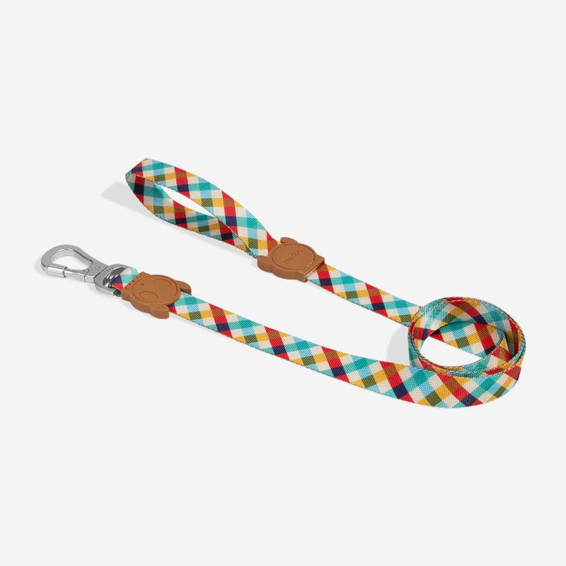 Guia para Cachorros Zeedog Phantom P