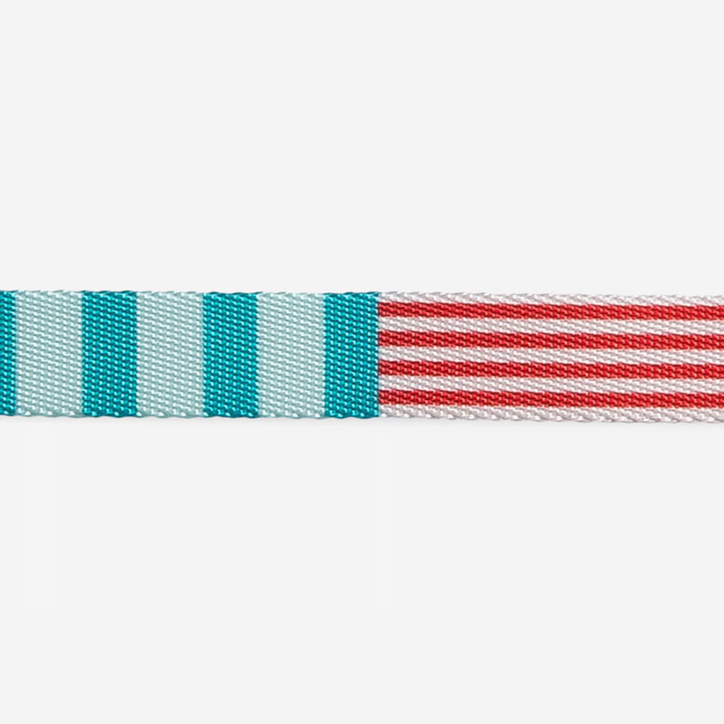 Coleira para Cachorros ZeeDog Yacht P