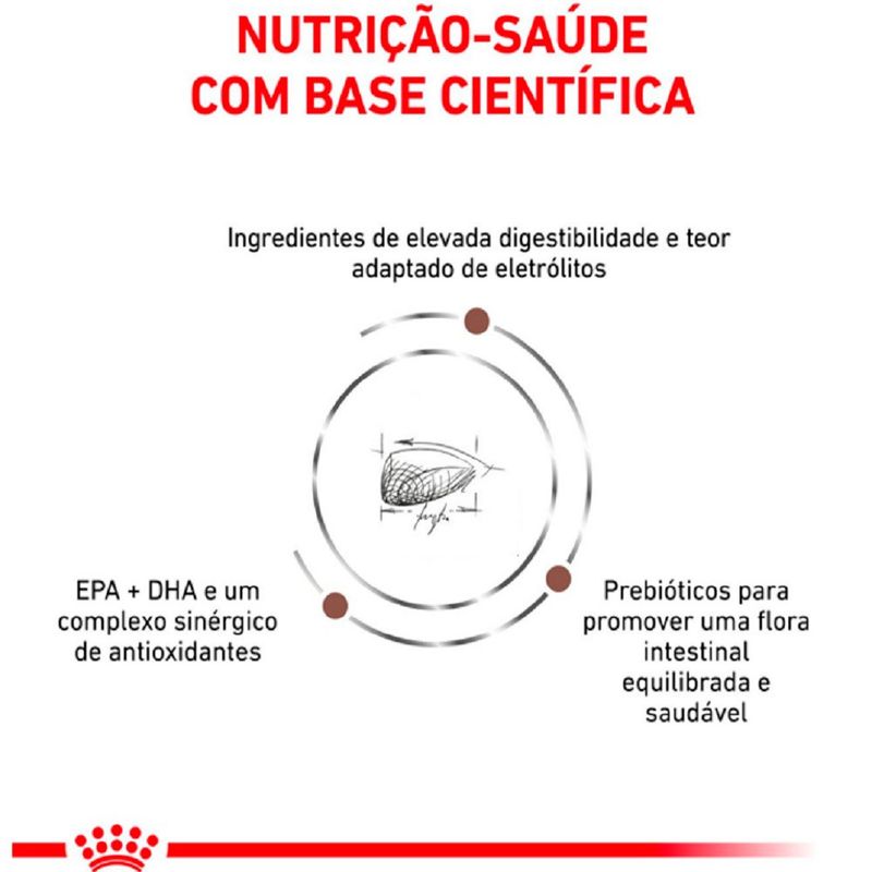 Ração Royal Canin Feline Veterinary Diet Gastro Intestinal Gatos com Doenças Intestinais 