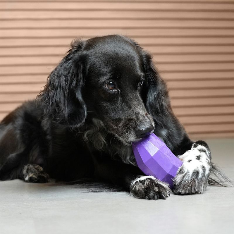 Brinquedo para Cachorros Super Veggiez Berinjela ZeeDog