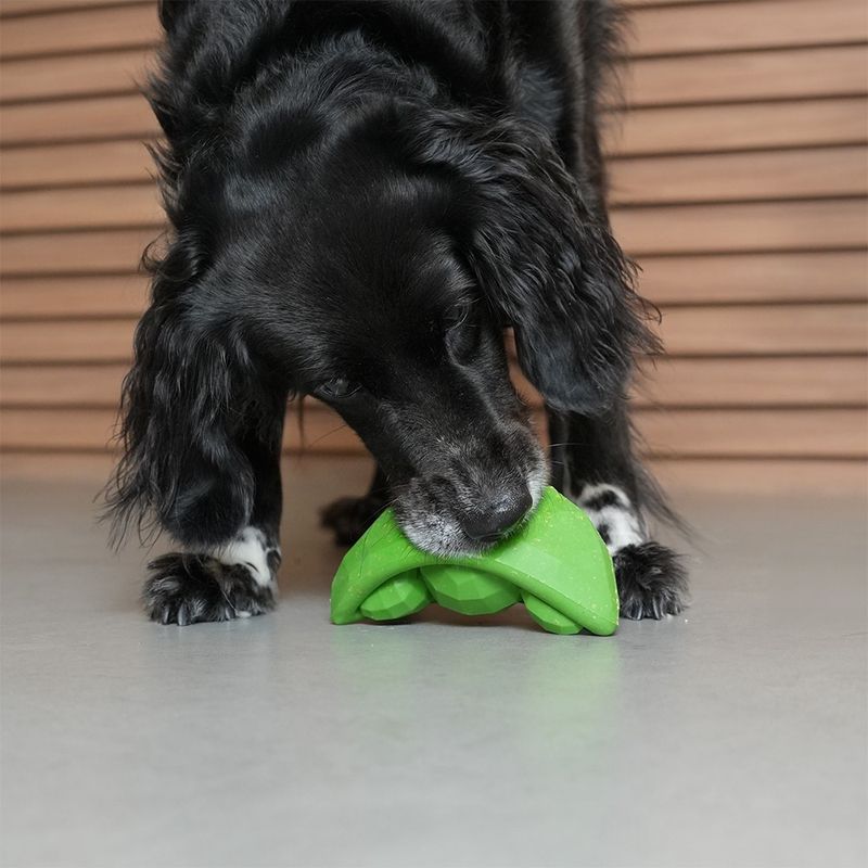 Brinquedo para Cachorros Super Veggiez Ervilha ZeeDog
