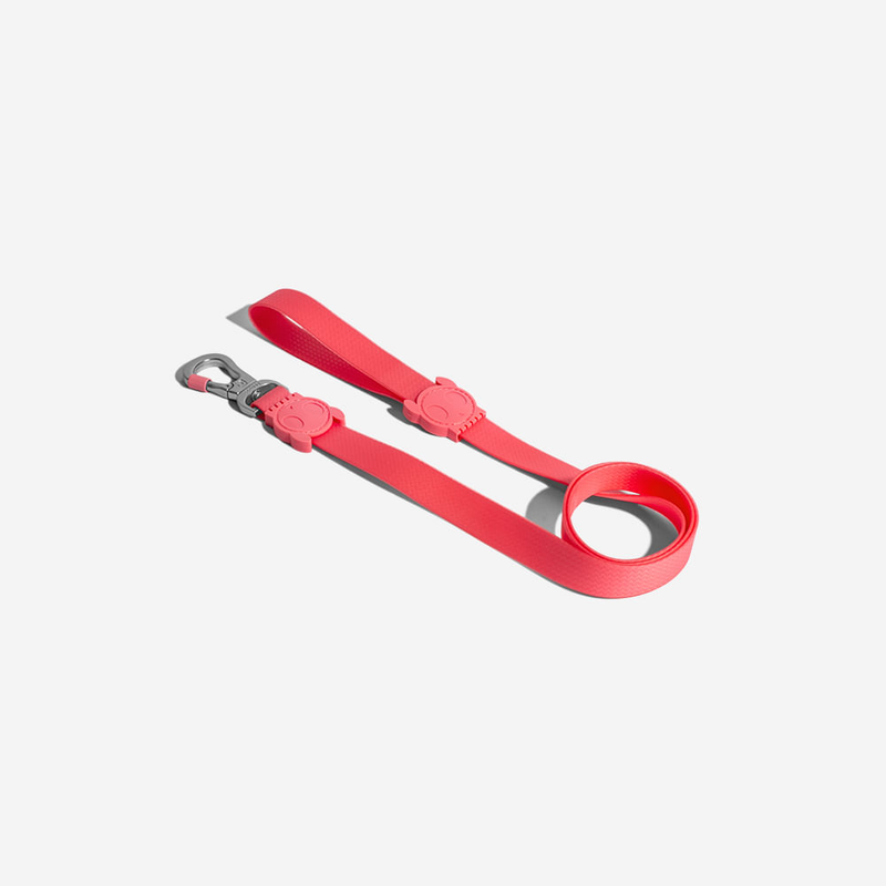 Guia para cachorros ZeeDog Neopro Bubblegum P