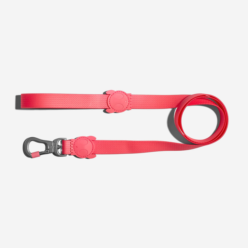Guia para cachorros ZeeDog Neopro Bubblegum P