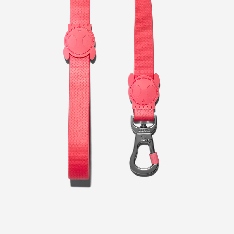 Guia para cachorros ZeeDog Neopro Bubblegum P