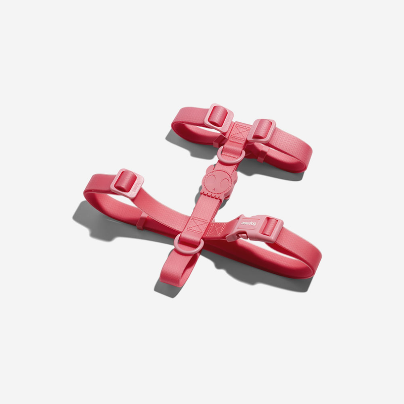 Peitoral H para Cachorros ZeeDog Neopro Bubblegum P