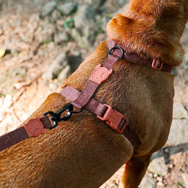 Peitoral para Cachorros H Naturals Cocoa ZeeDog P
