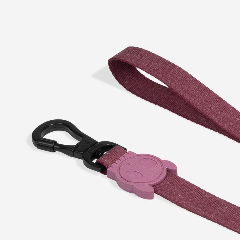 Guia para Cachorros Naturals Hibiscus Zeedog P