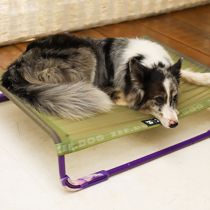 Cama para Cachorros Air.Bed Zeedog Verde G