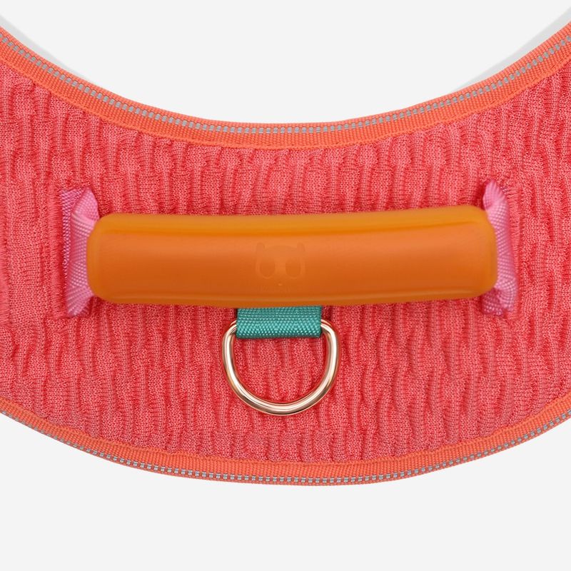 Peitoral para Cachorros Zeedog FlyHarness Gazelle Tamanho 4