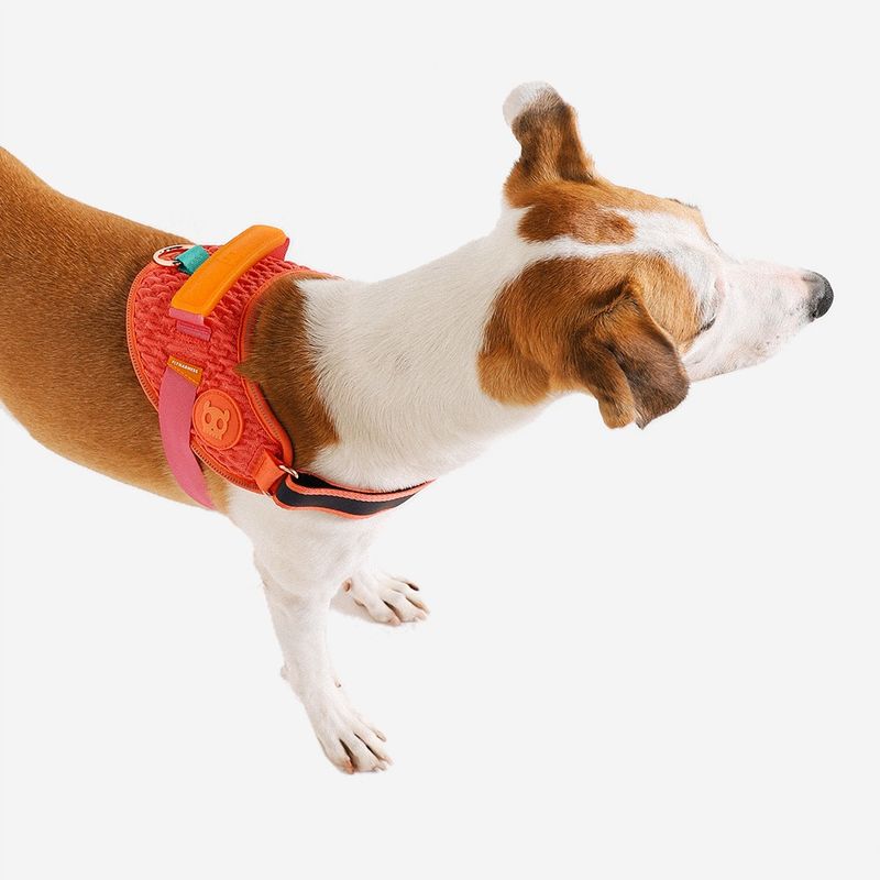 Peitoral para Cachorros Zeedog FlyHarness Gazelle Tamanho 5