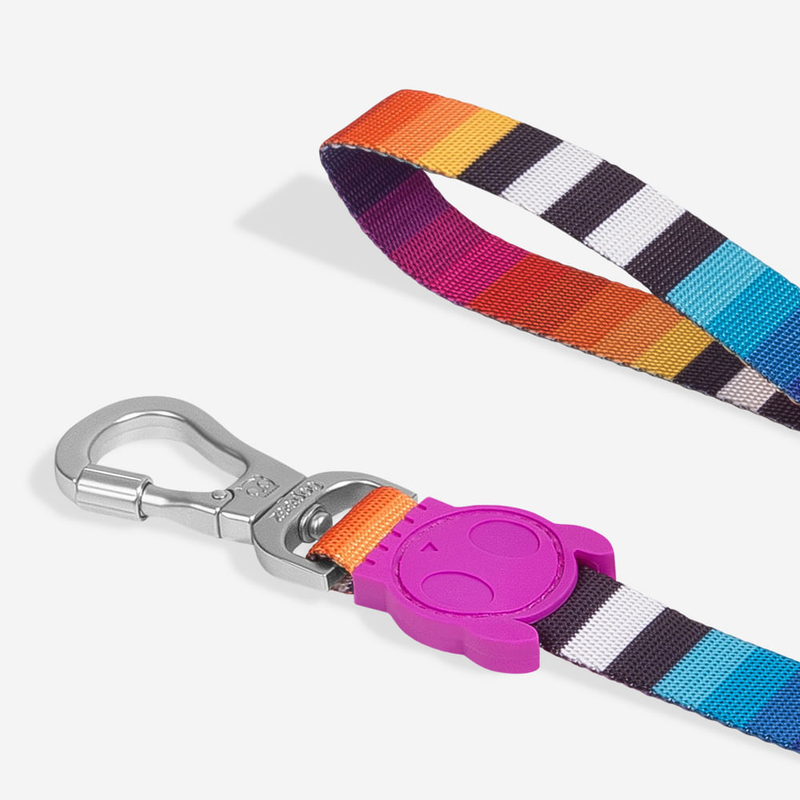 Guia para Cachorros Prisma Zeedog P