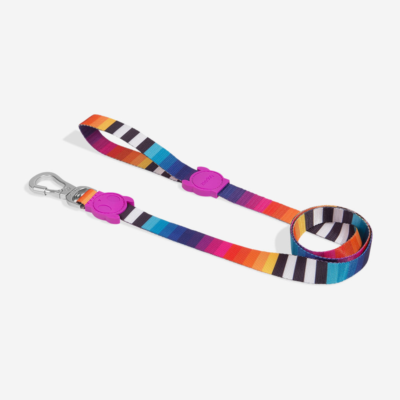 Guia para Cachorros Prisma Zeedog P