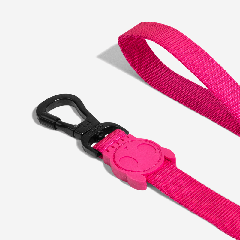 Guia para Cachorros Pink Led Zeedog P