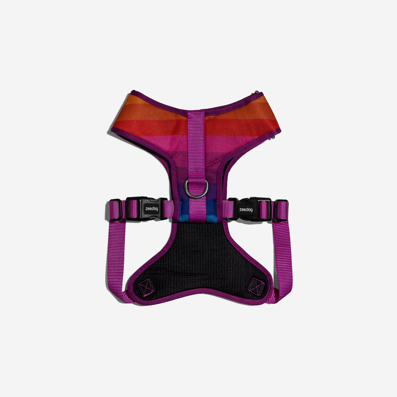 Peitoral para Cachorros Air Mesh Ajustável Prisma ZeeDog P