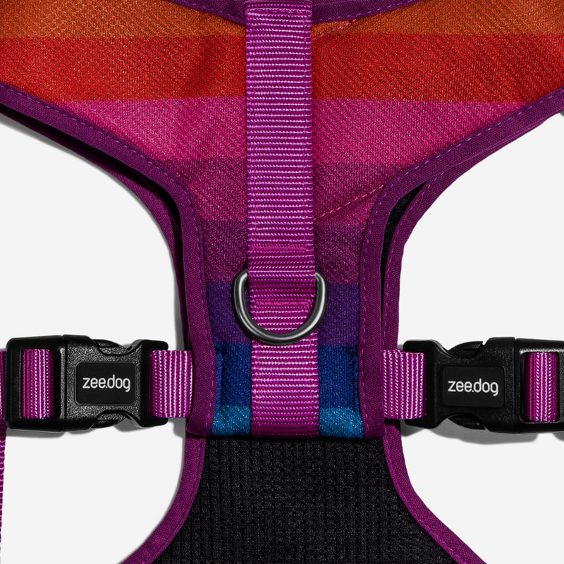 Peitoral para Cachorros Air Mesh Ajustável Prisma ZeeDog P