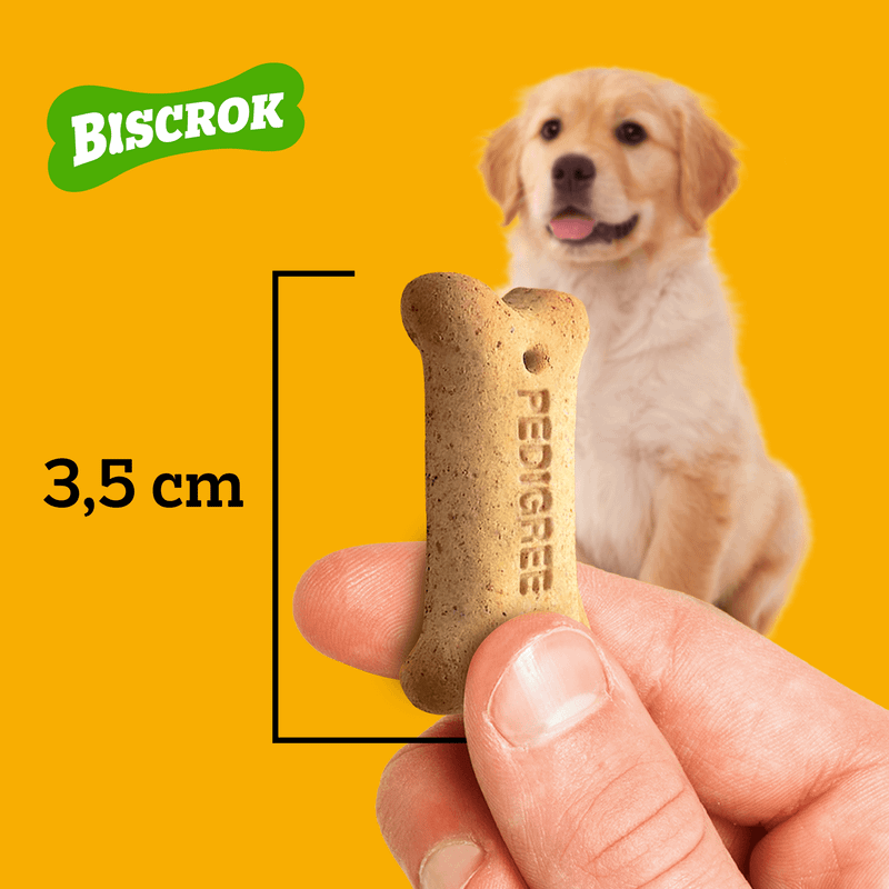 Biscoito Pedigree Biscrok Cães Filhotes  300g