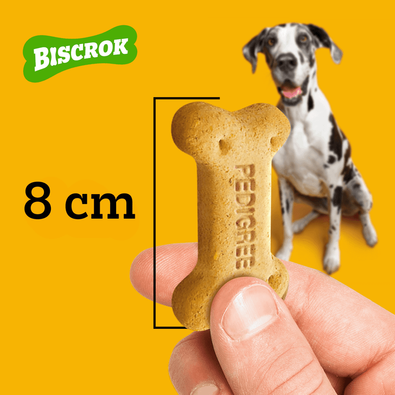 Biscoito Biscrok Adulto Raças Grandes