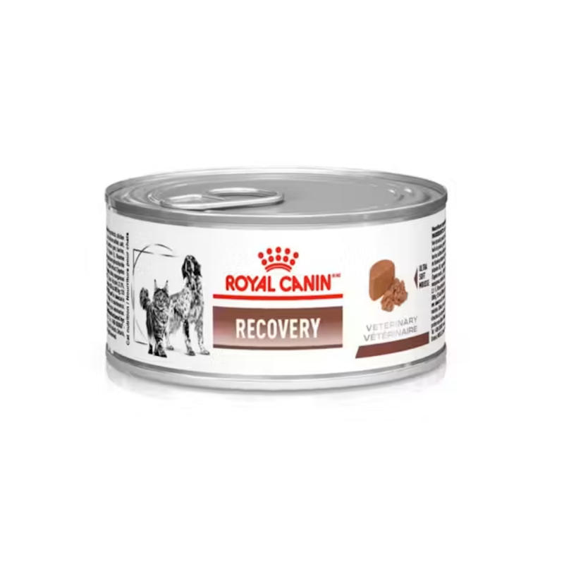 Alimento Úmido Royal Canin Lata Cães e Gatos Veterinary Diet Recovery  195g