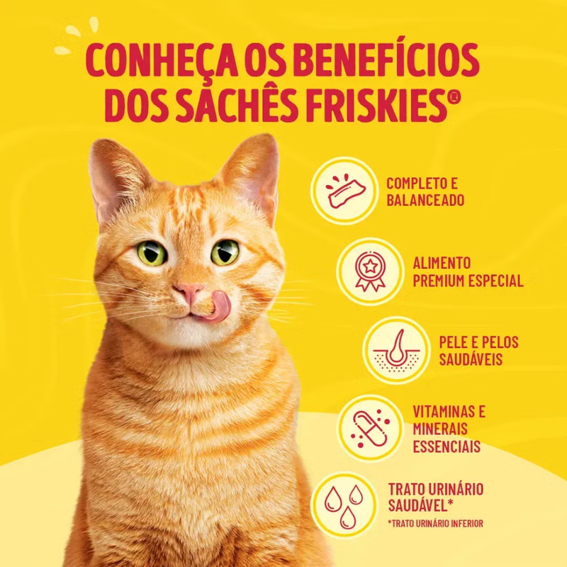 Alimento Úmido Sachê Friskies Sensações para Gatos Adultos Salmão Patê 85g Nestlé Purina