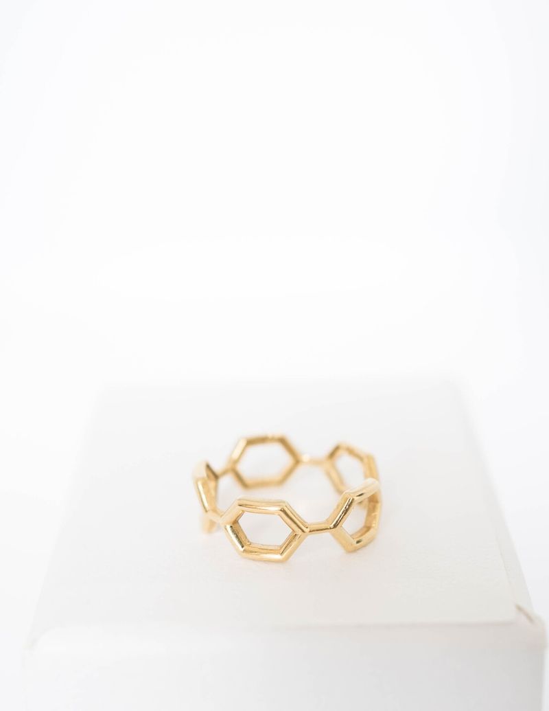 Anel Double Vessel