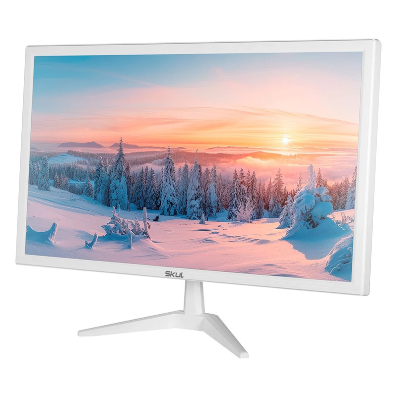 Monitor Skull 19,5