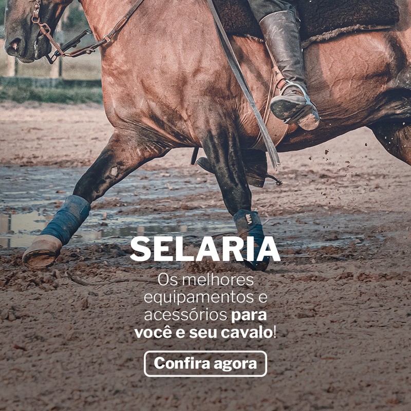 Fullbanner Selaria Mobile