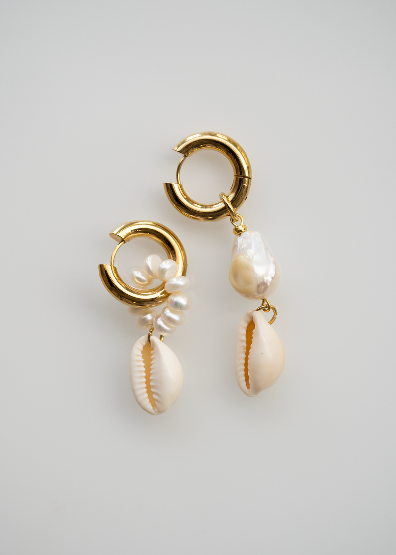 concha | seashell