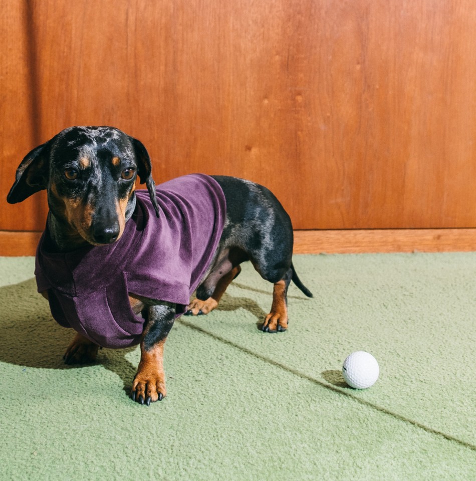 Roupas – Loja Cachorros Incríveis