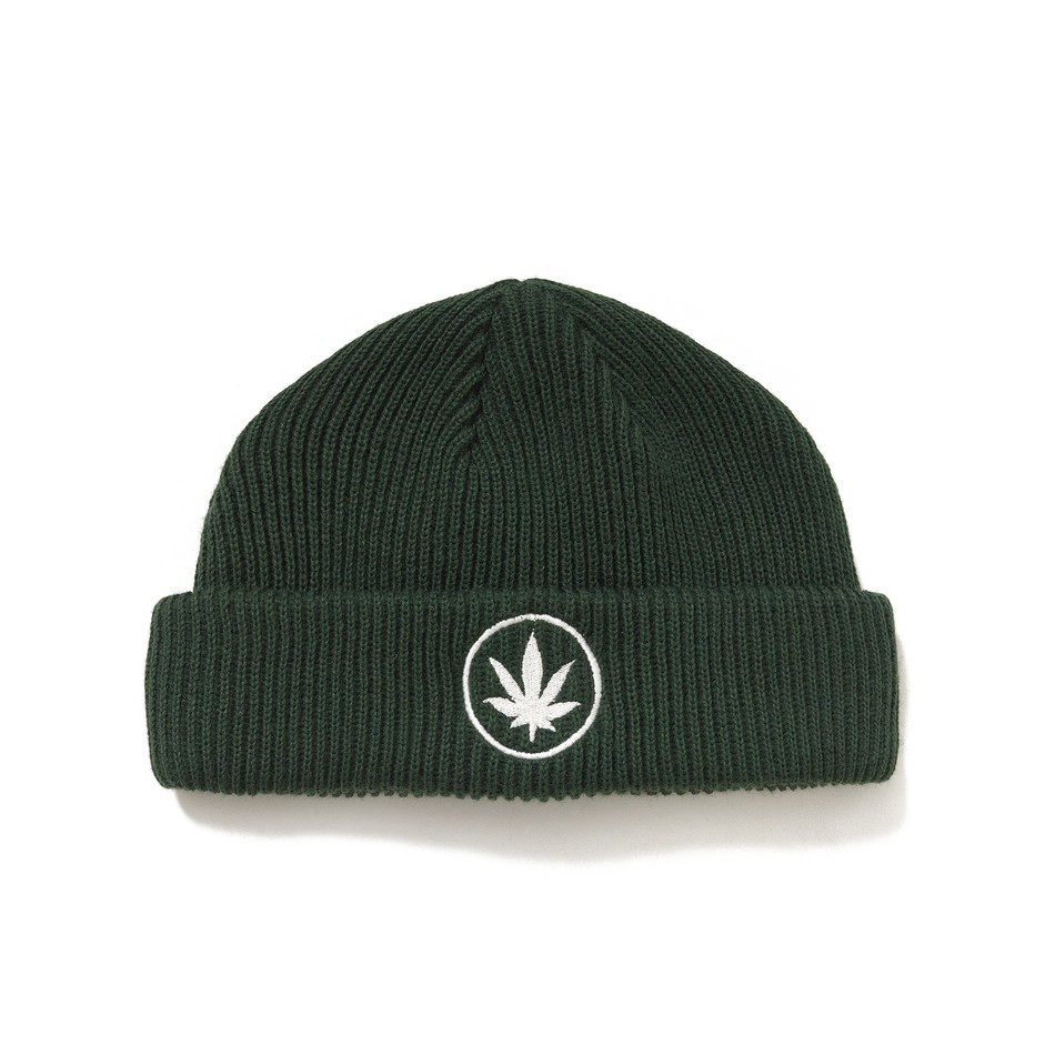 Mütze Folha Verde