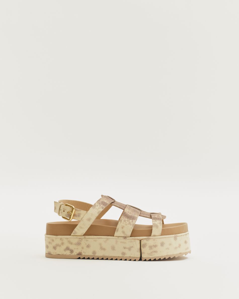 Flatform Fisherman Bipartida Cobra