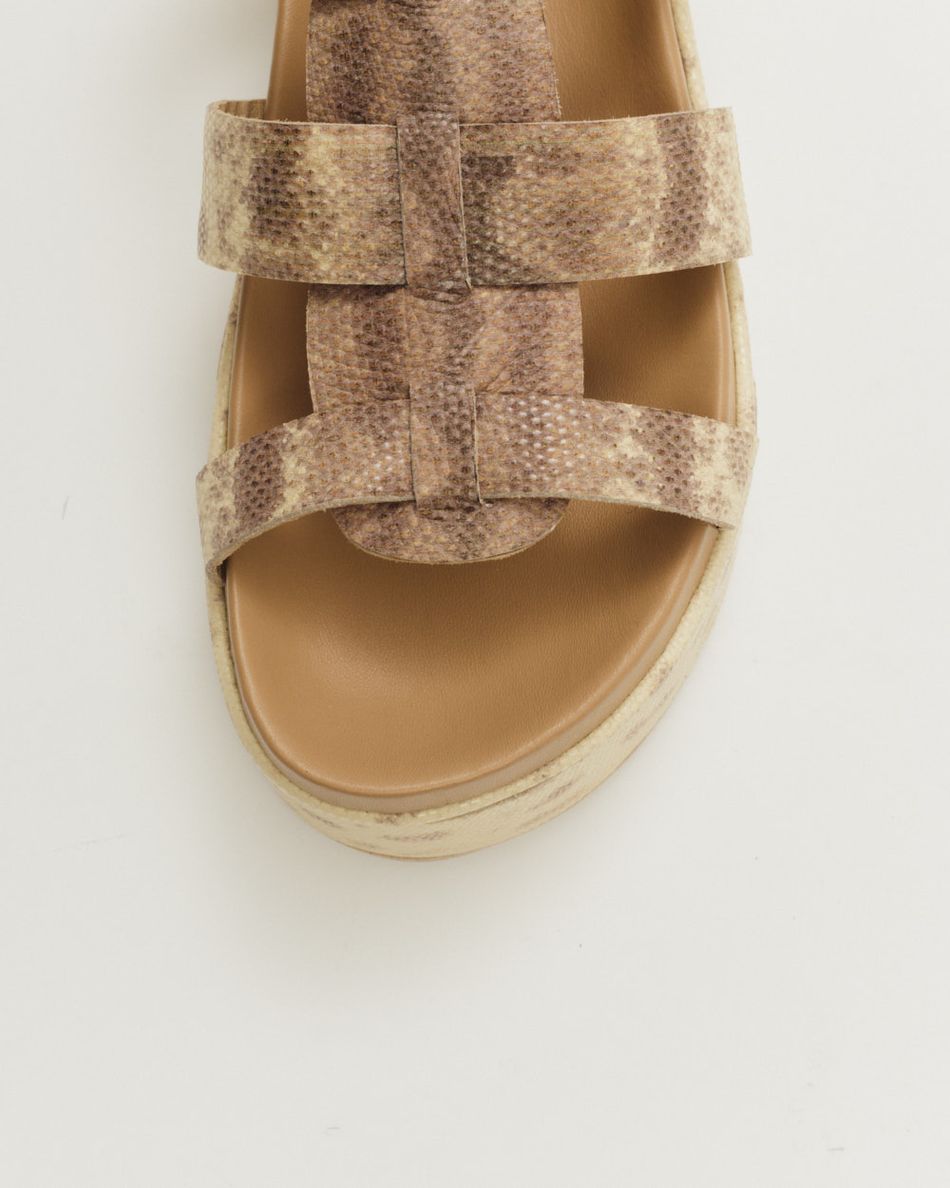 Flatform Fisherman Bipartida Cobra