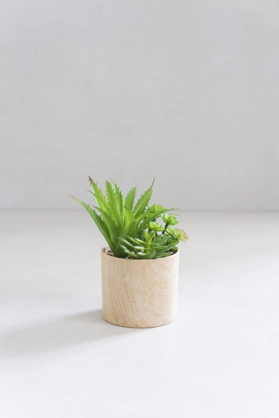 Mini Vaso com Suculenta Wood