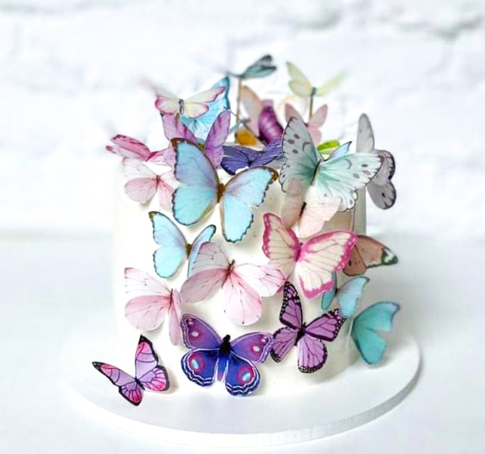 butterfly cake ll