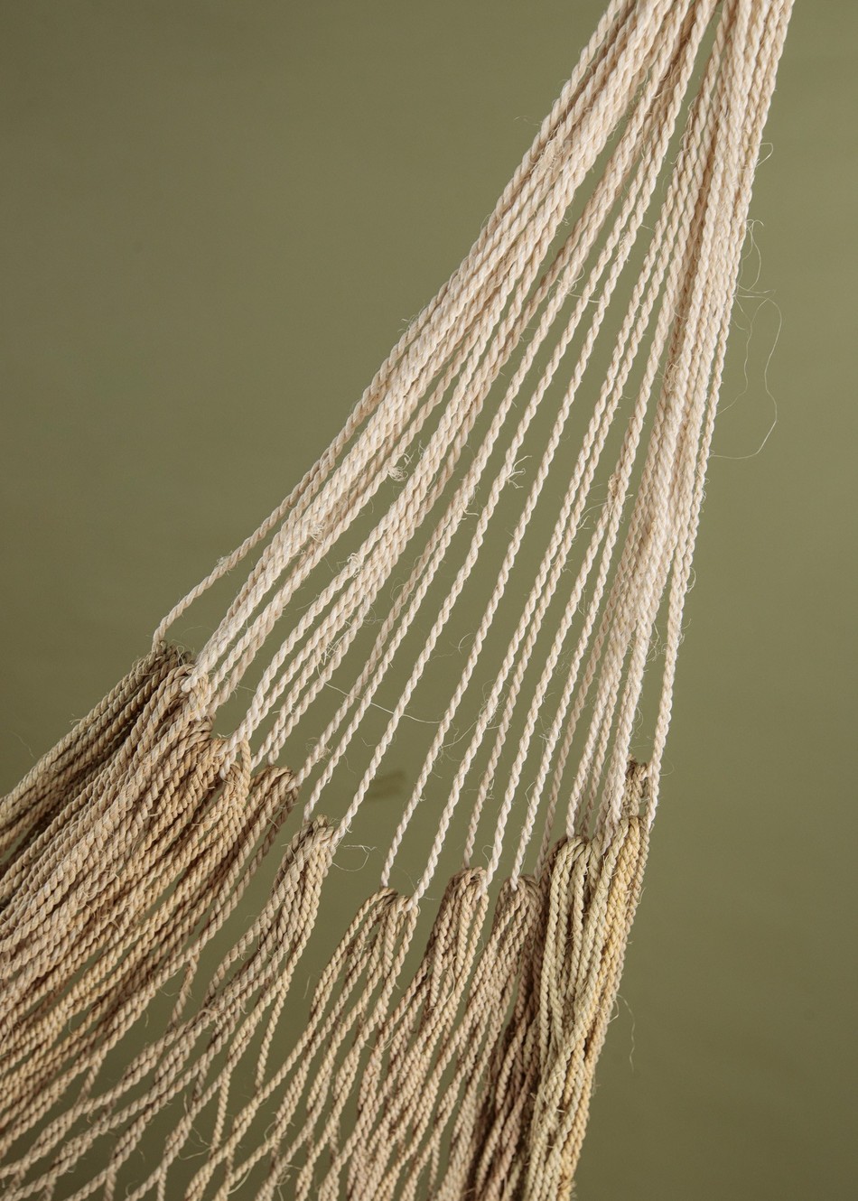 Rede de fibra de Arumã  | Waimiri-Atroari