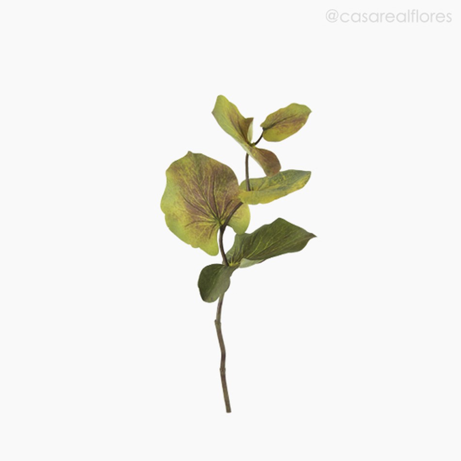 Imagem 1 do produto Galho Eucalyptus Tropical P Artificial - Envelhecido (10827)