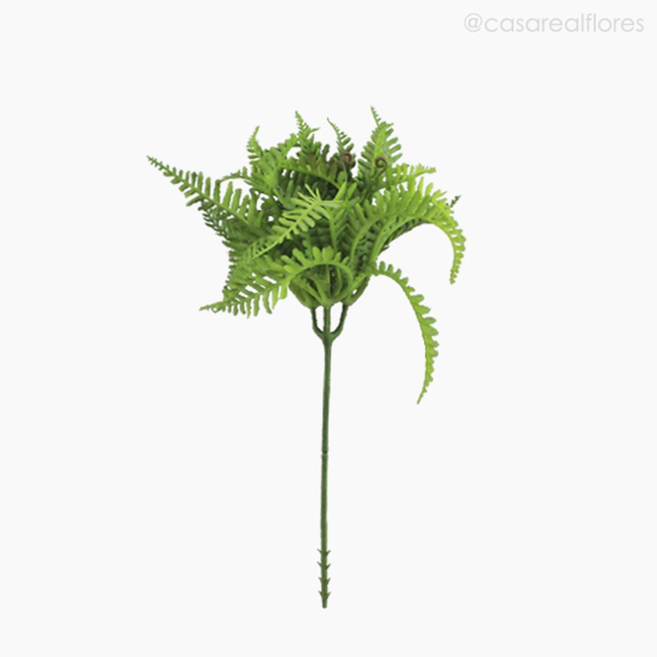 Imagem 1 do produto Mini Folhagem Fern Pick Artificial - Verde (9923)