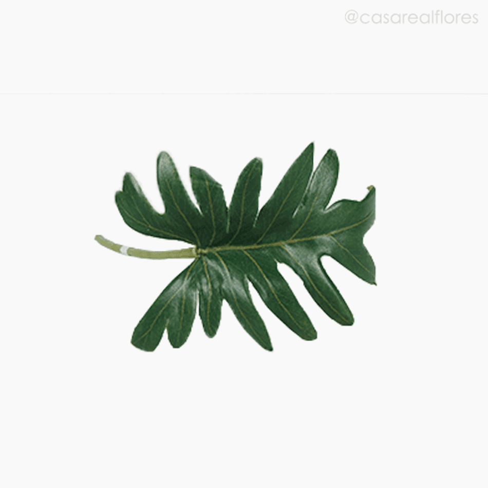 Imagem 4 do produto Mini Split Pylo Leaf Artificial - Verde (9908)