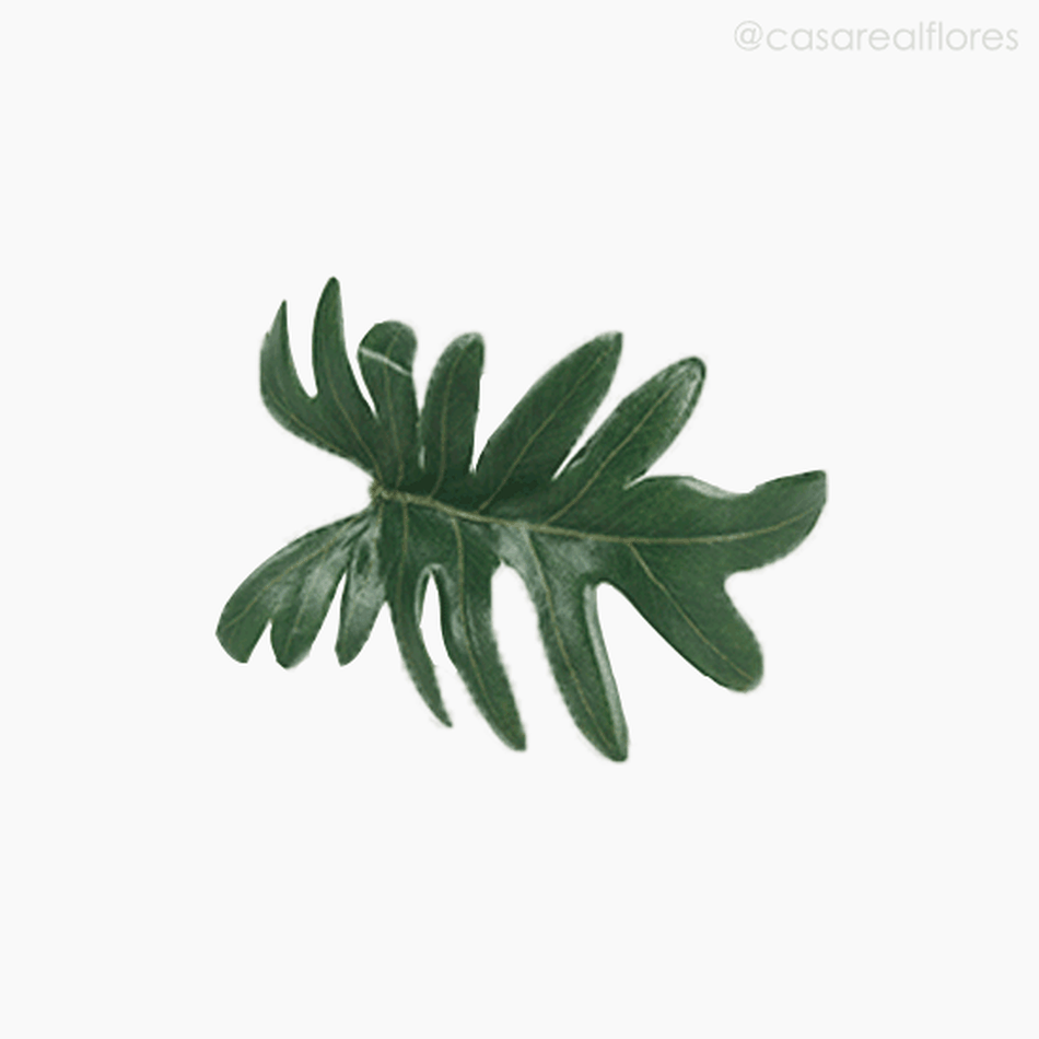 Imagem 5 do produto Mini Split Pylo Leaf Artificial - Verde (9908)